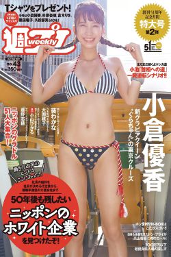 警中英雄